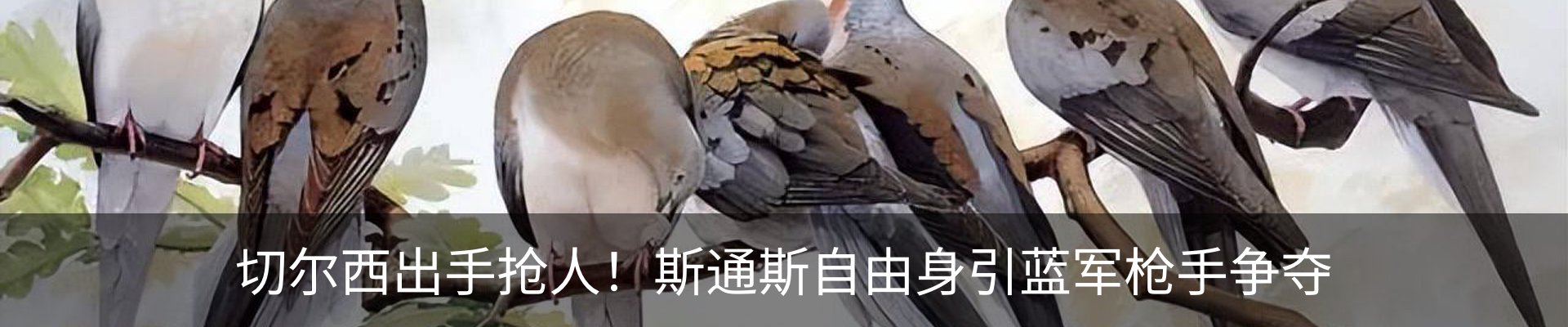 资讯中心