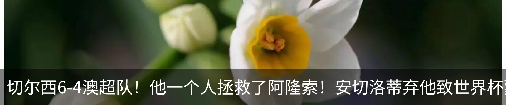 资讯中心