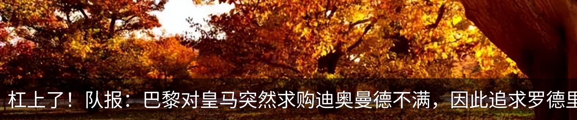 资讯中心