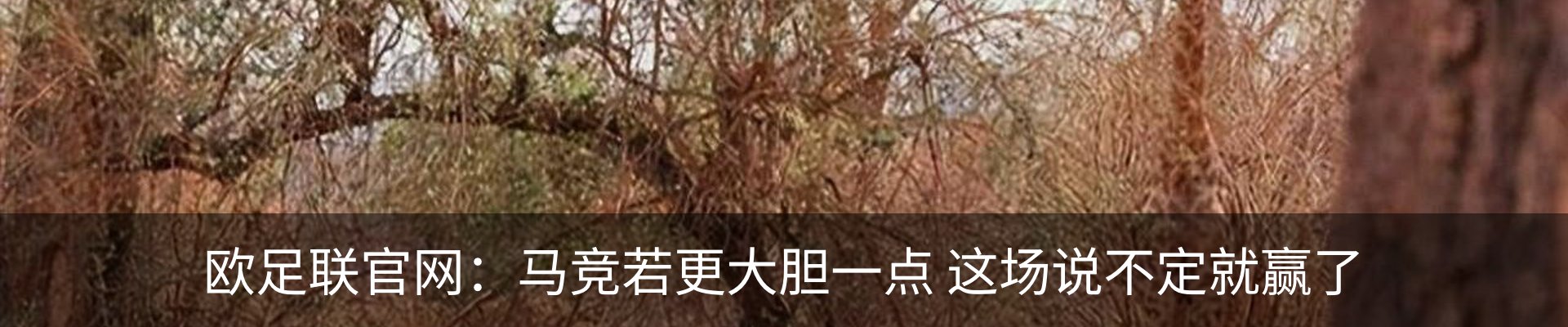 资讯中心