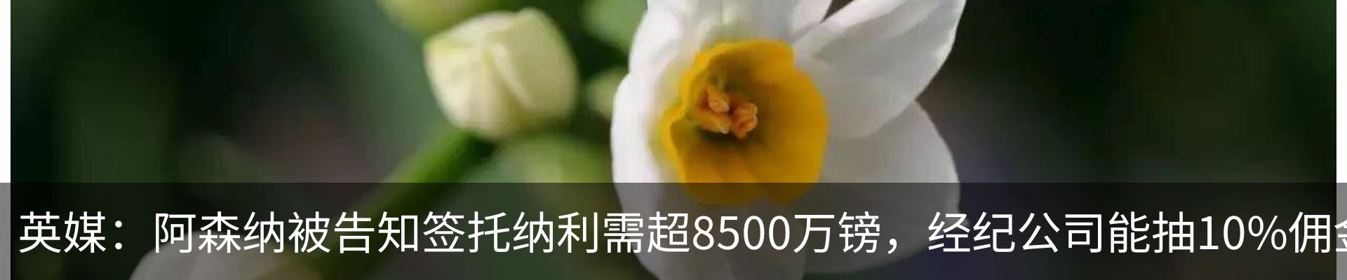 资讯中心