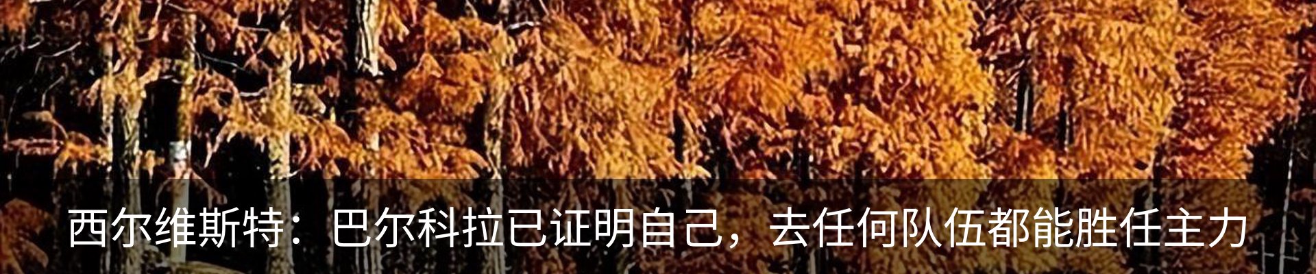 资讯中心